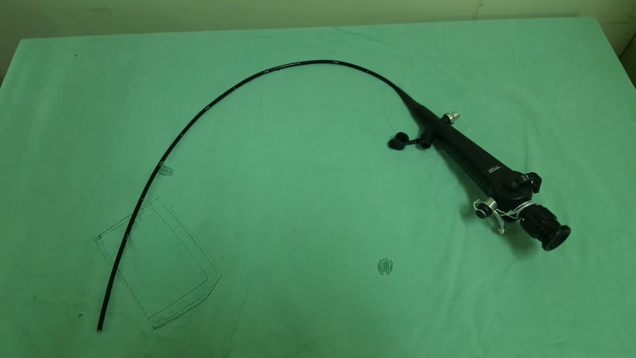 flexible fiberoscope